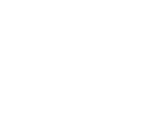 queen.wfolio.pro